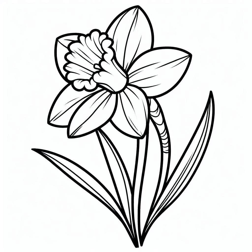 Påskeliljer enkle Tegninger til Farvelægning