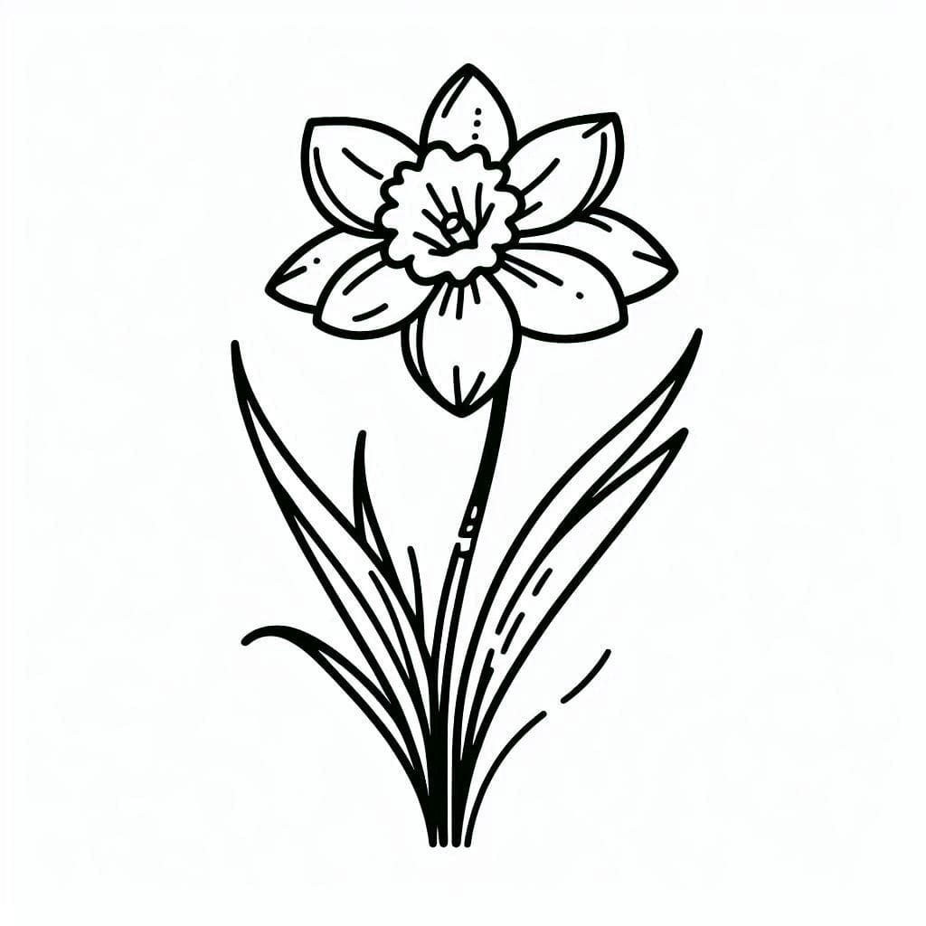 Påskeliljer let Tegninger til Farvelægning