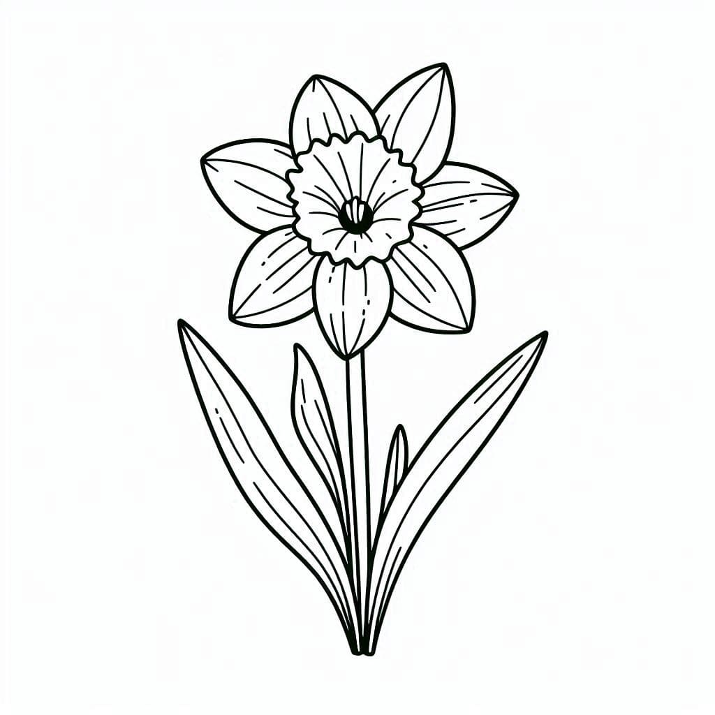 Påskeliljer normale Tegninger til Farvelægning