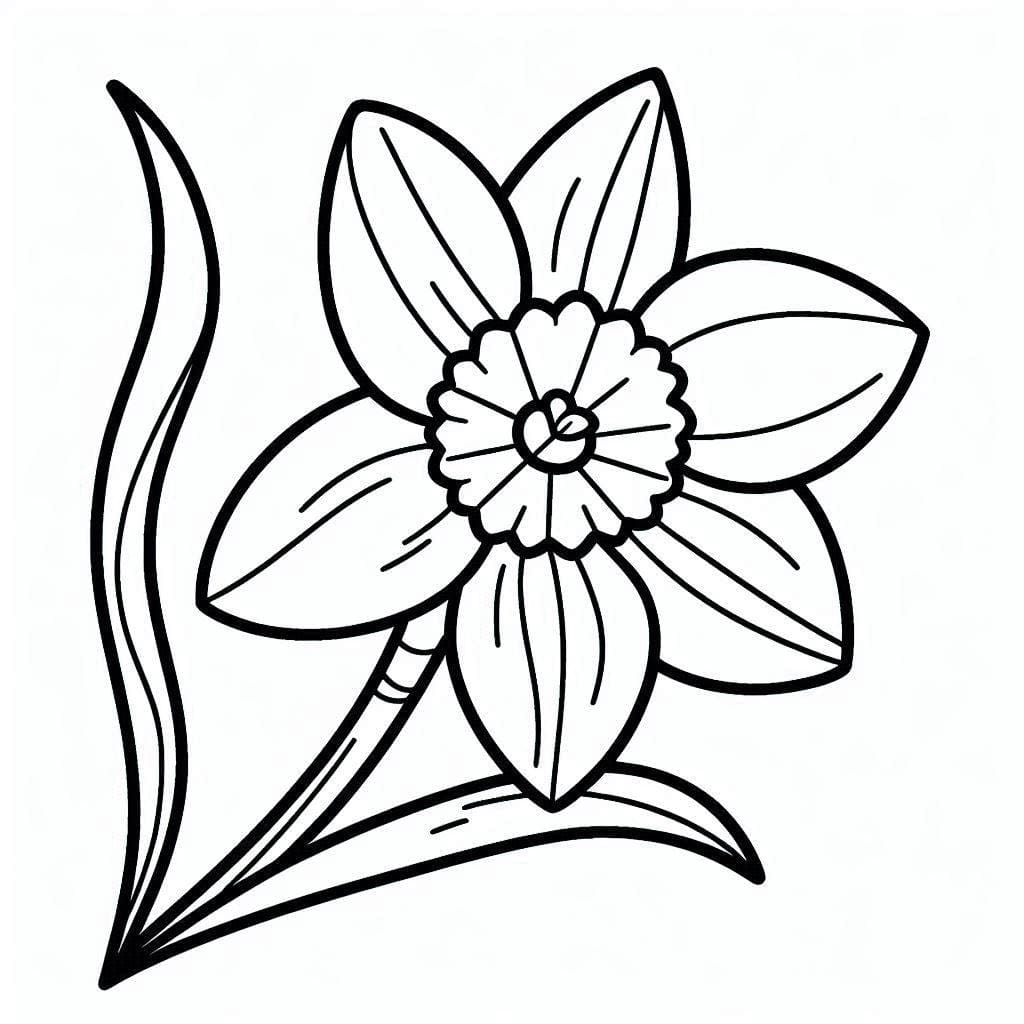 Påskeliljer store Tegninger til Farvelægning