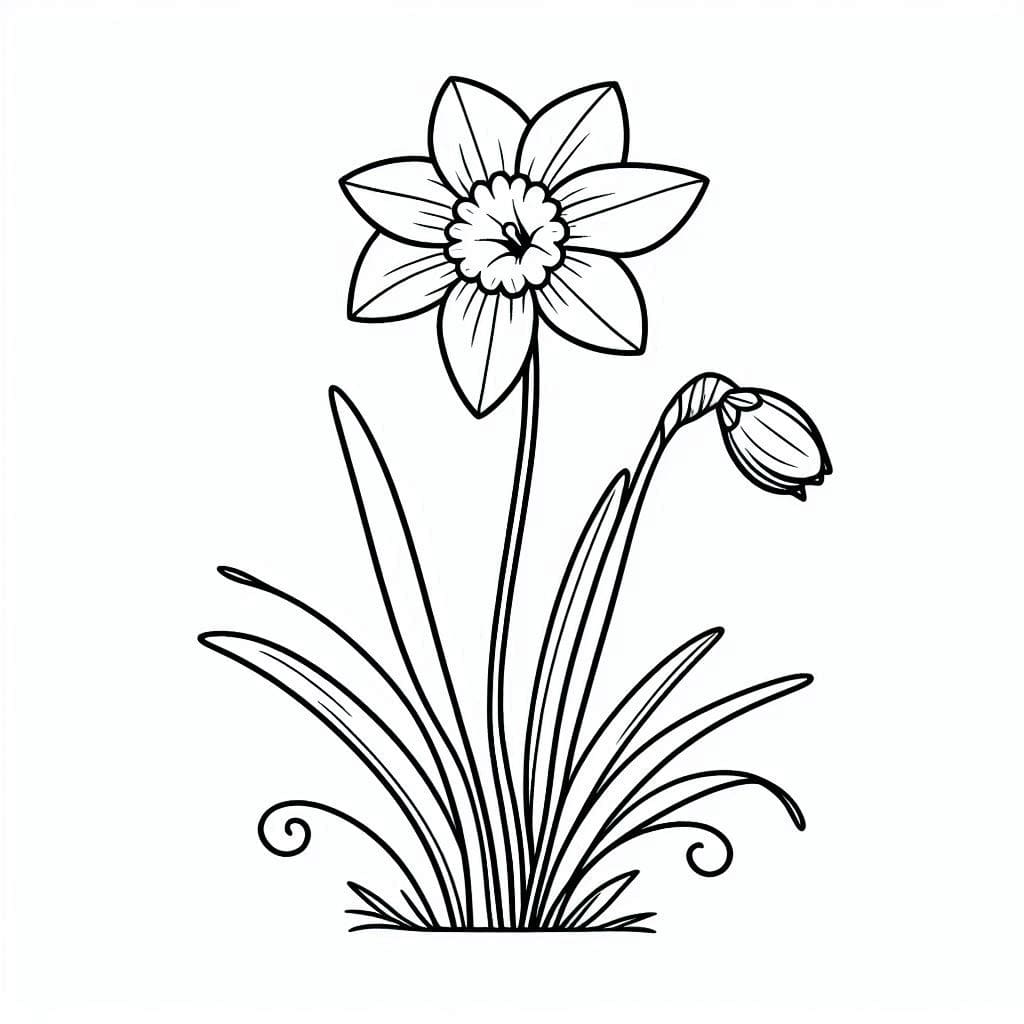 Påskeliljer til printbar Tegninger til Farvelægning