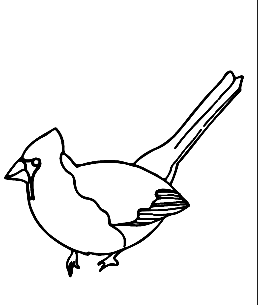 Kardinal Tegninger Til Farvel gning Farvelegning Com