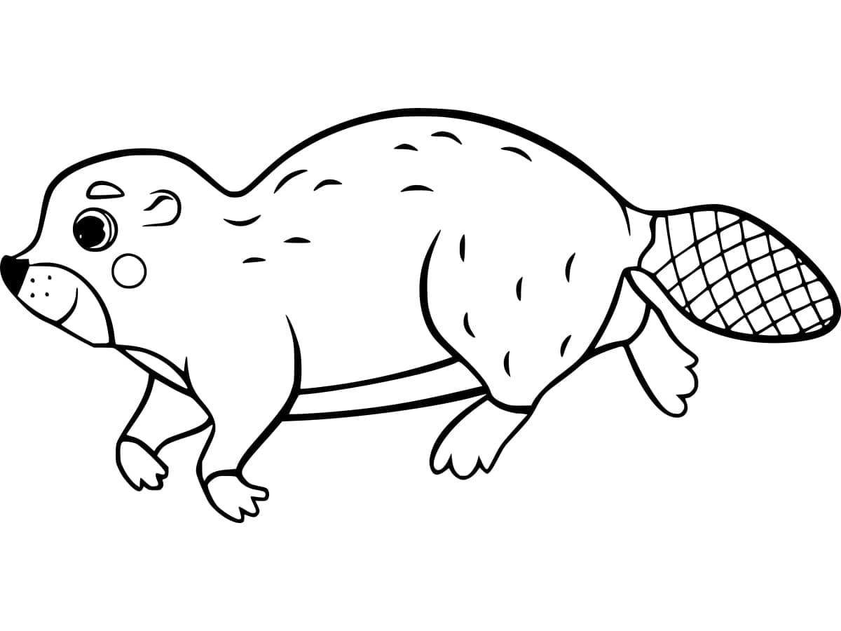 Bæver printbar til børn Tegninger til Farvelægning