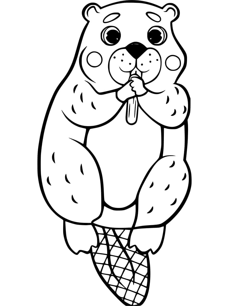 Bæver til børn Tegninger til Farvelægning