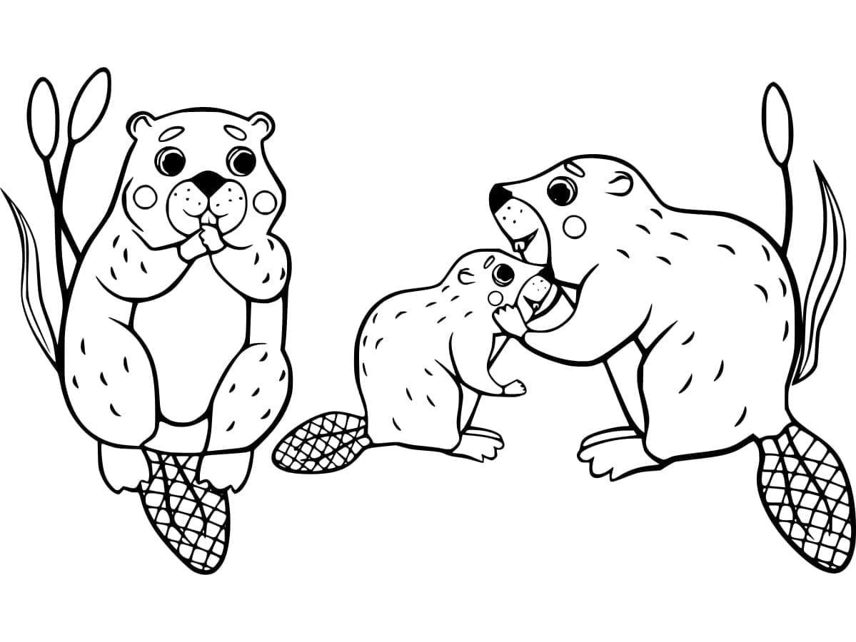 Bæverfamilien Tegninger til Farvelægning