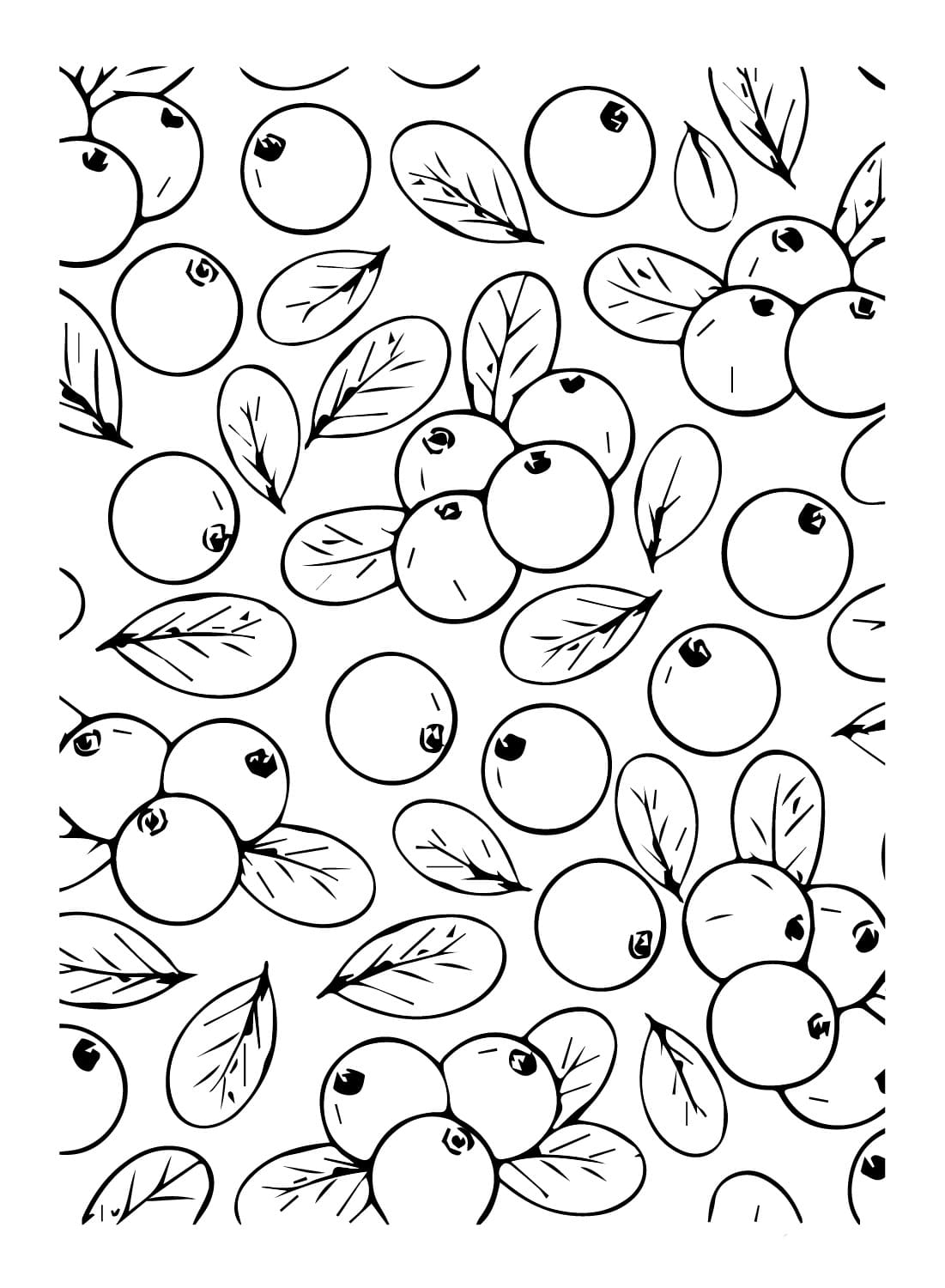 Baggrund Blåbær Tegninger til Farvelægning