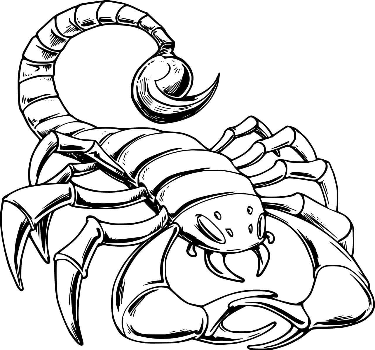 Blå Skorpion Tegninger til Farvelægning