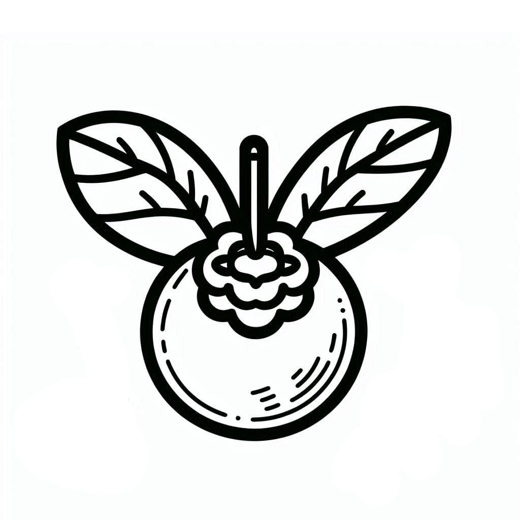 Blåbær normal Tegninger til Farvelægning