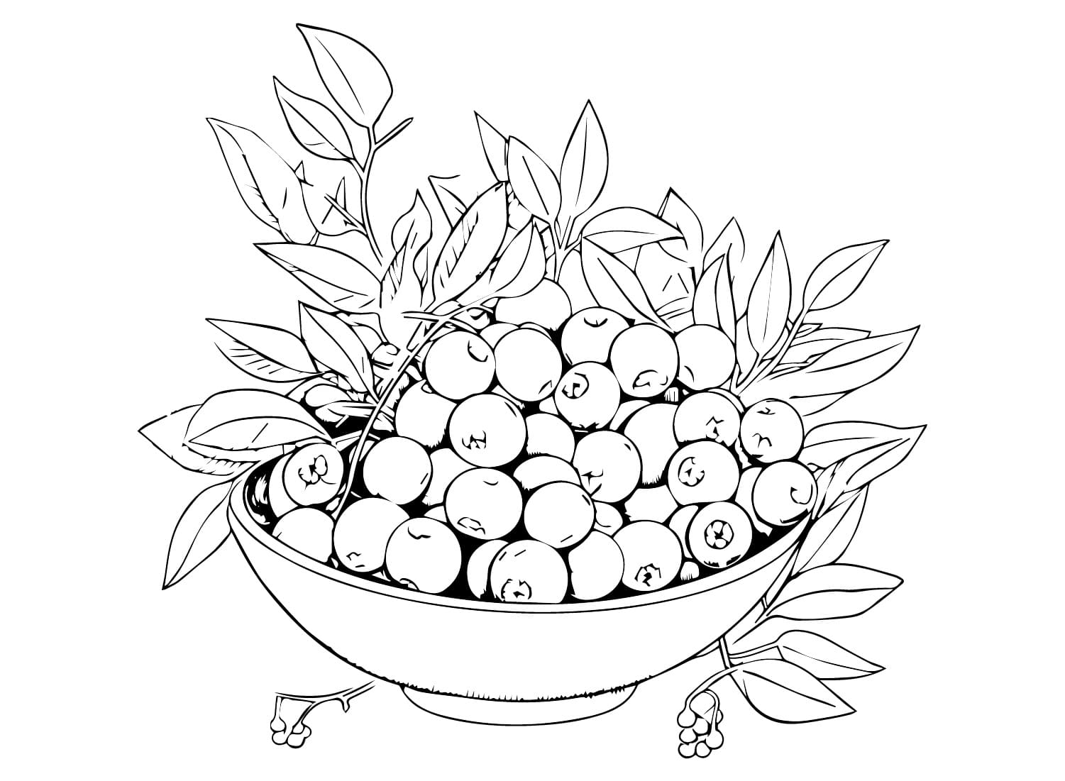 Blåbær printbar Tegninger til Farvelægning