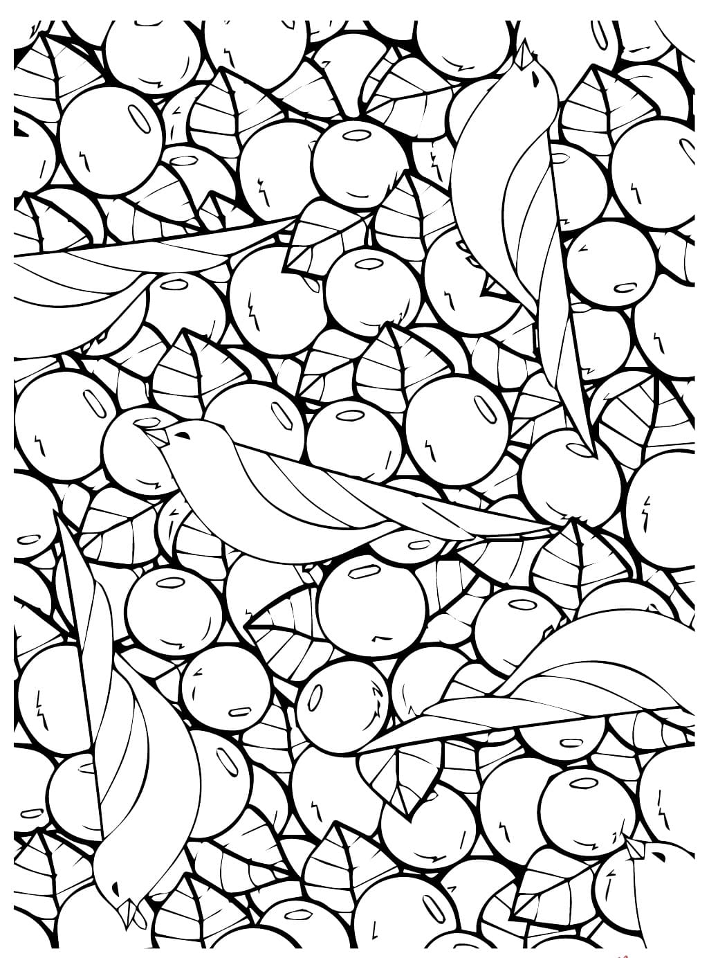 Blåbær Tapet Tegninger til Farvelægning