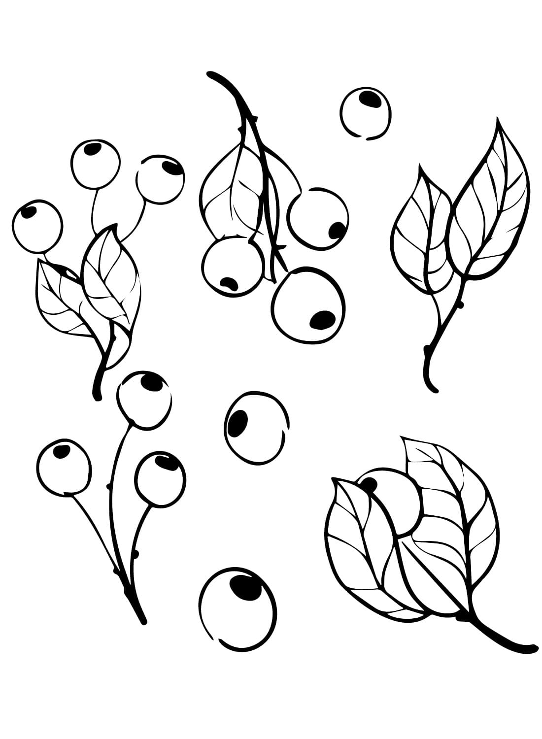 Blåbærbilleder Tegninger til Farvelægning