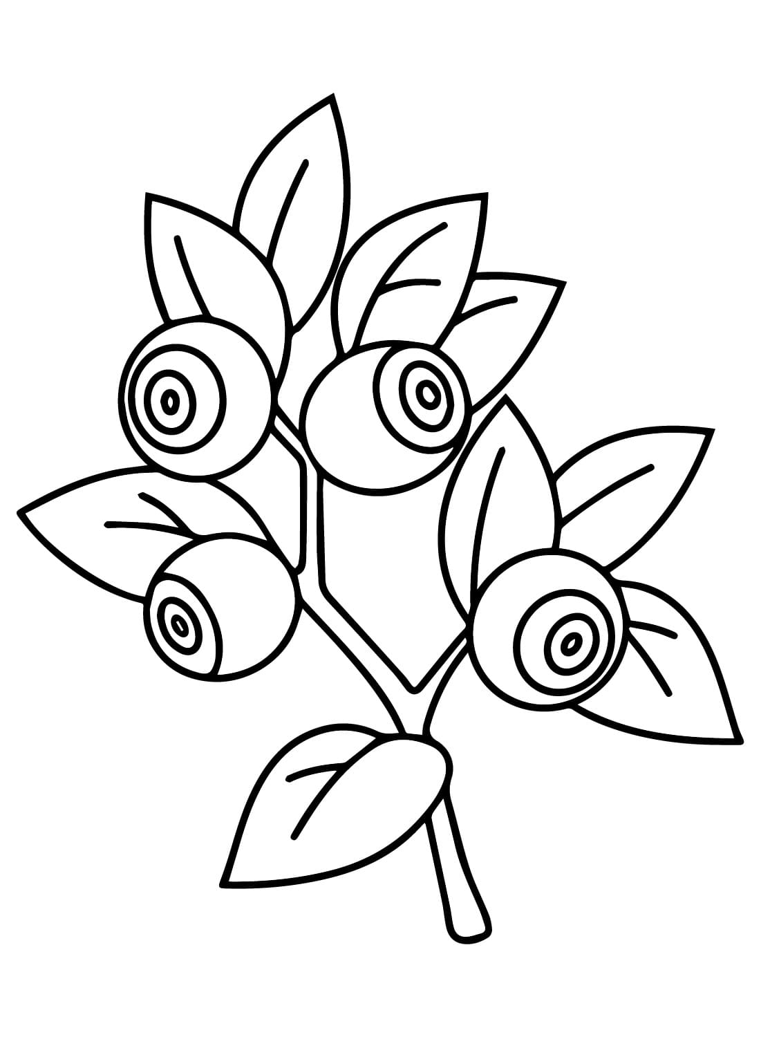 Blåbærfri Tegninger til Farvelægning