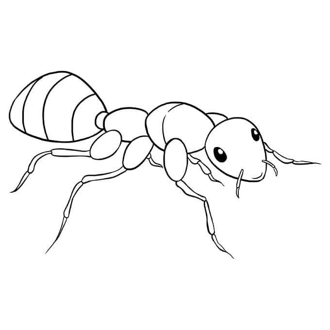 Fantastisk myre Tegninger til Farvelægning
