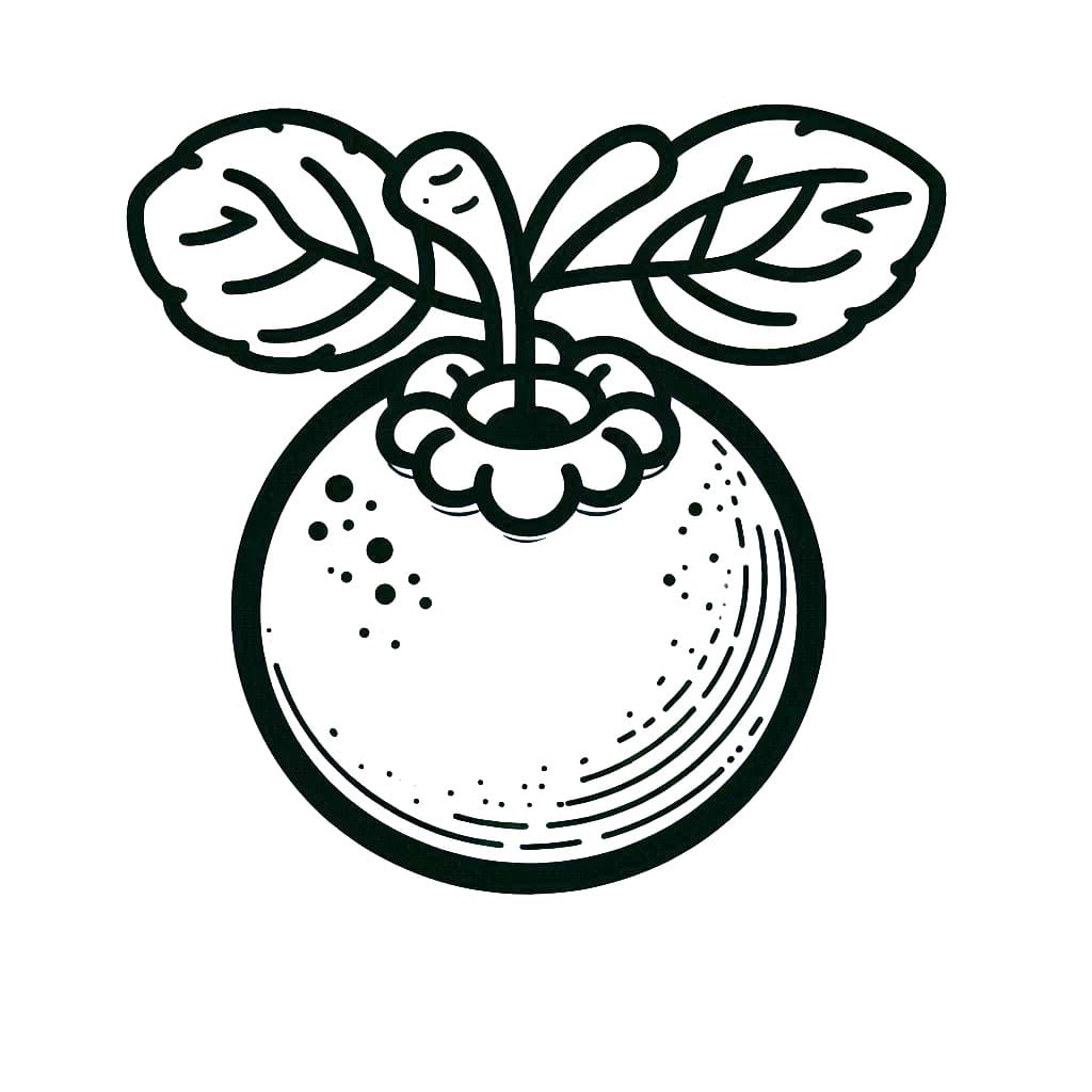 Fantastiske blåbær Tegninger til Farvelægning