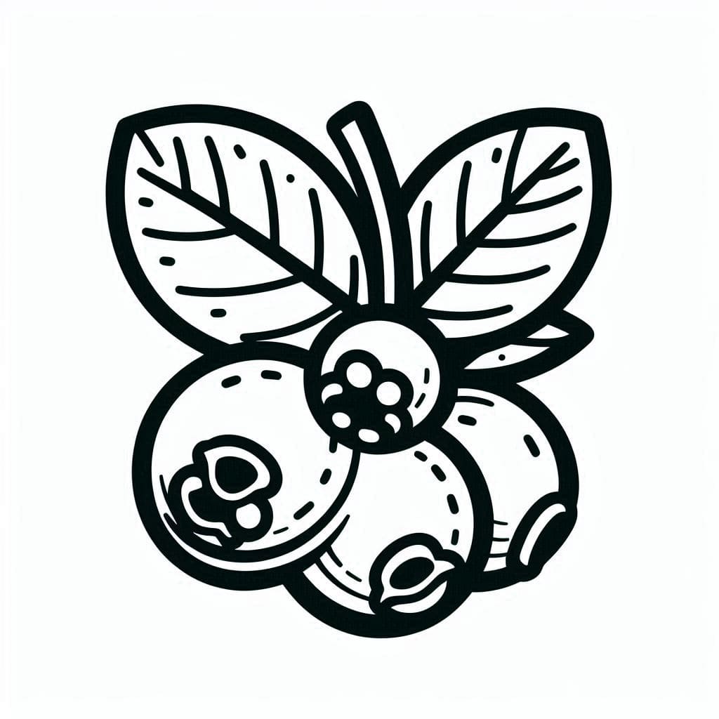 Fire blåbær Tegninger til Farvelægning