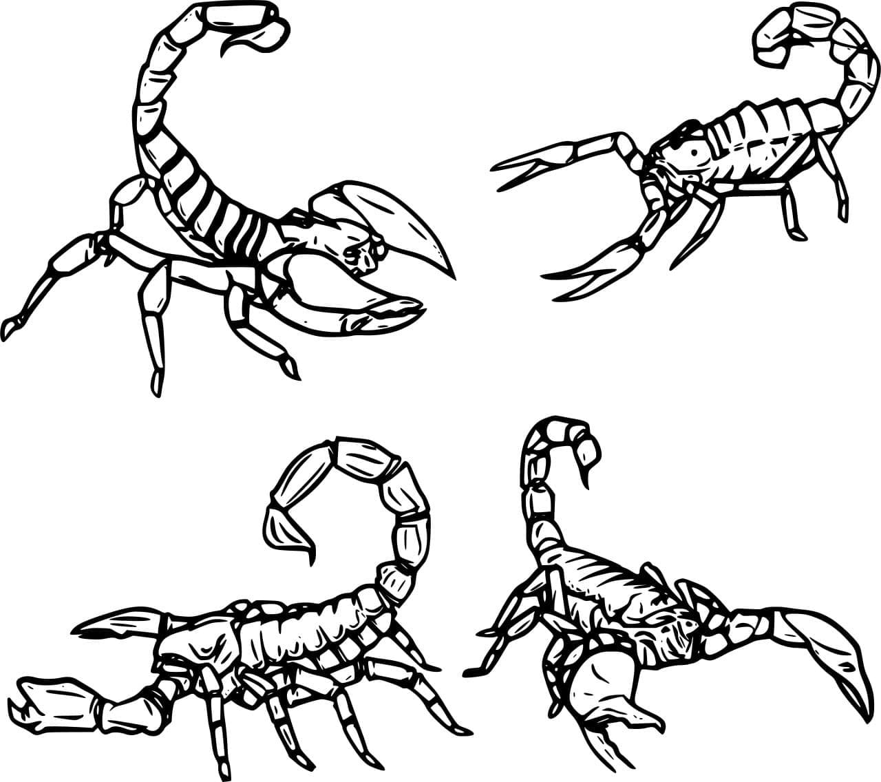 Fire skorpioner Tegninger til Farvelægning