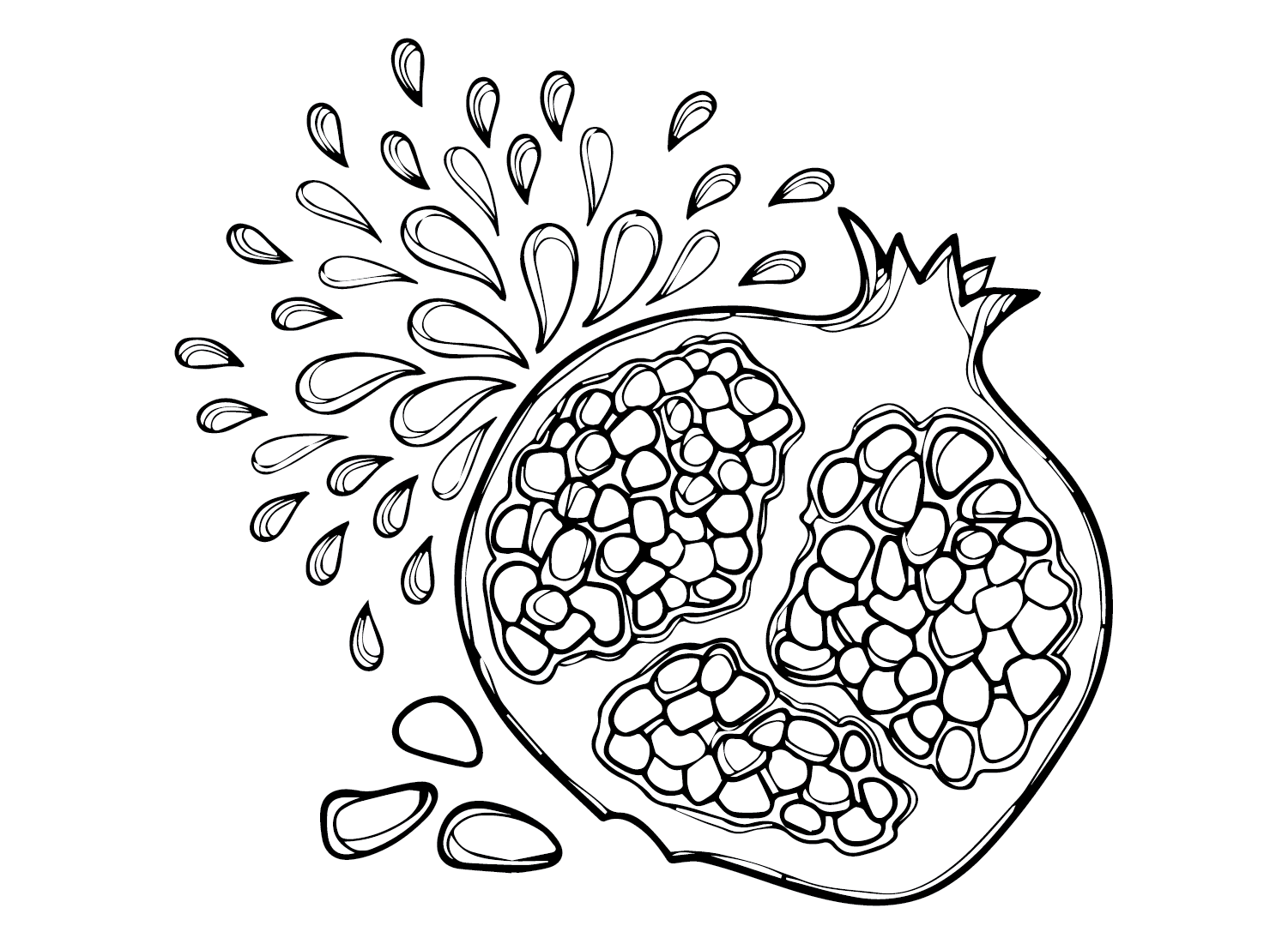 Granatæble til udskrivning Tegninger til Farvelægning