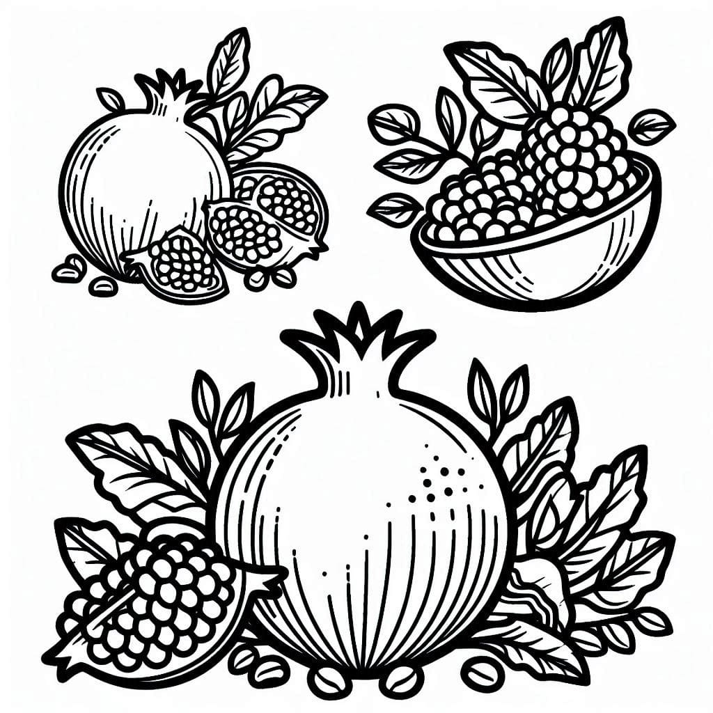Granatæbler enkel Tegninger til Farvelægning
