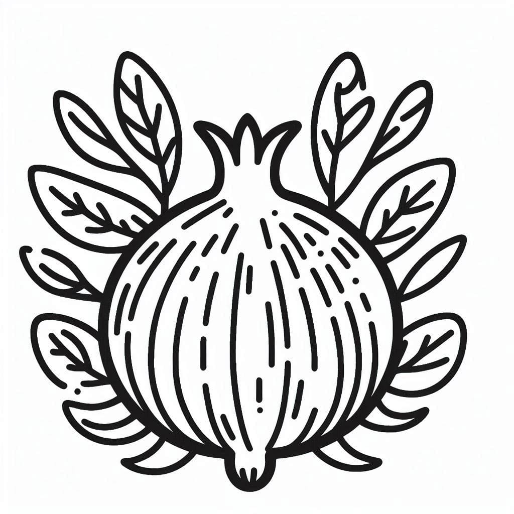 Granatæbler normale Tegninger til Farvelægning