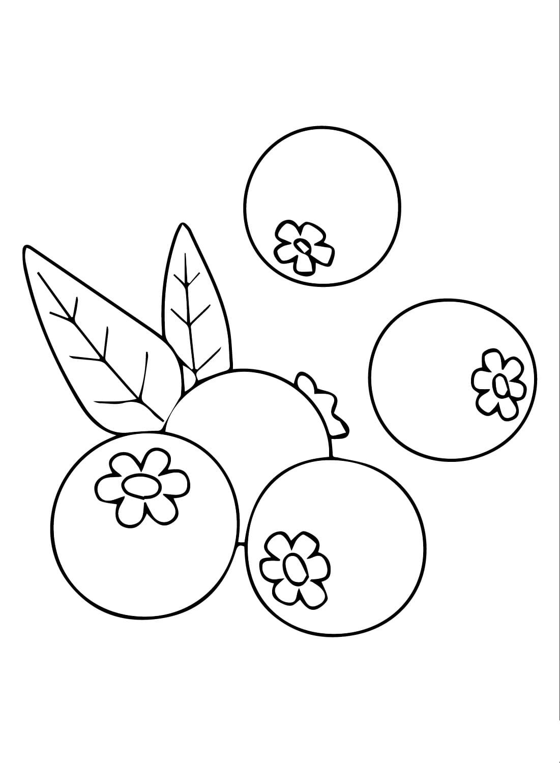 Gratis blåbær Tegninger til Farvelægning