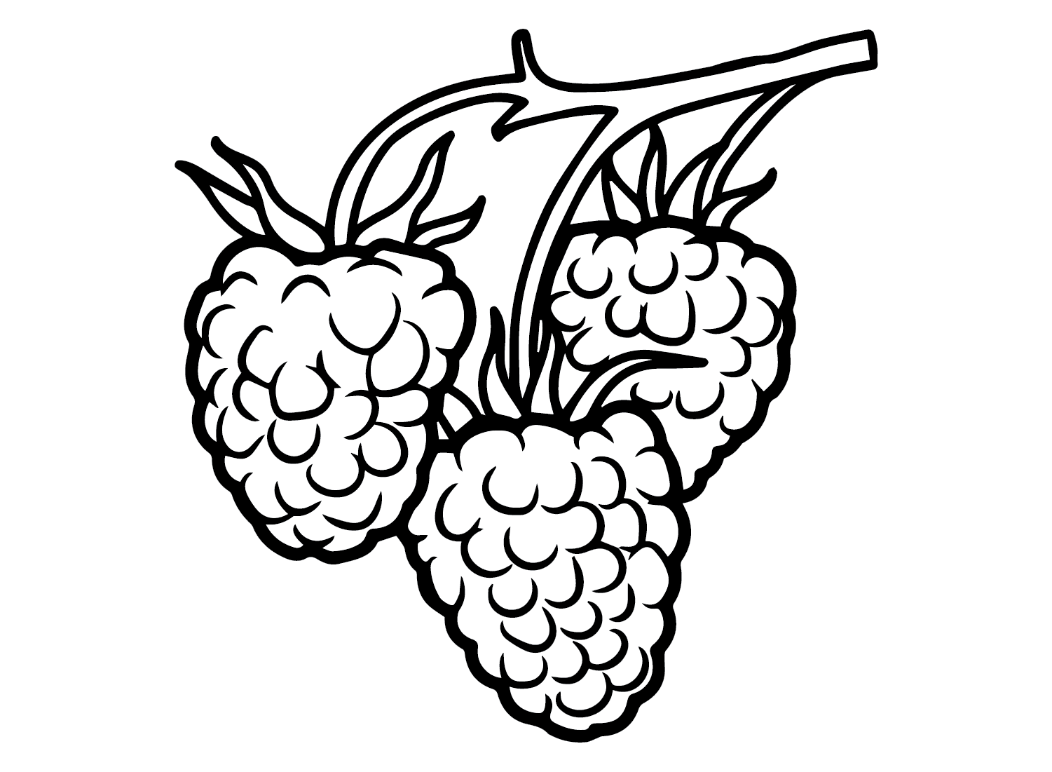 Hindbærfri Tegninger til Farvelægning