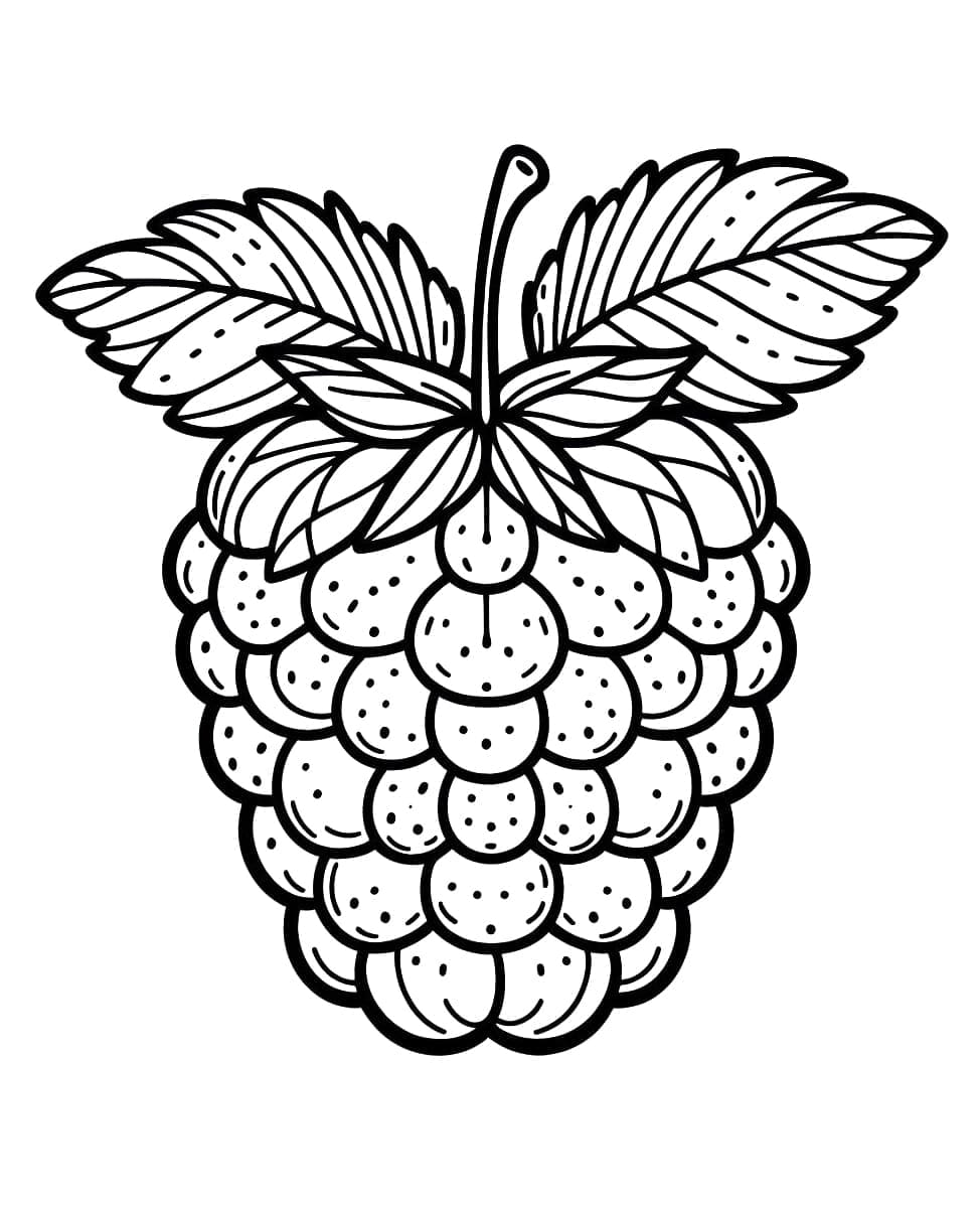 Hindbærfri til børn Tegninger til Farvelægning