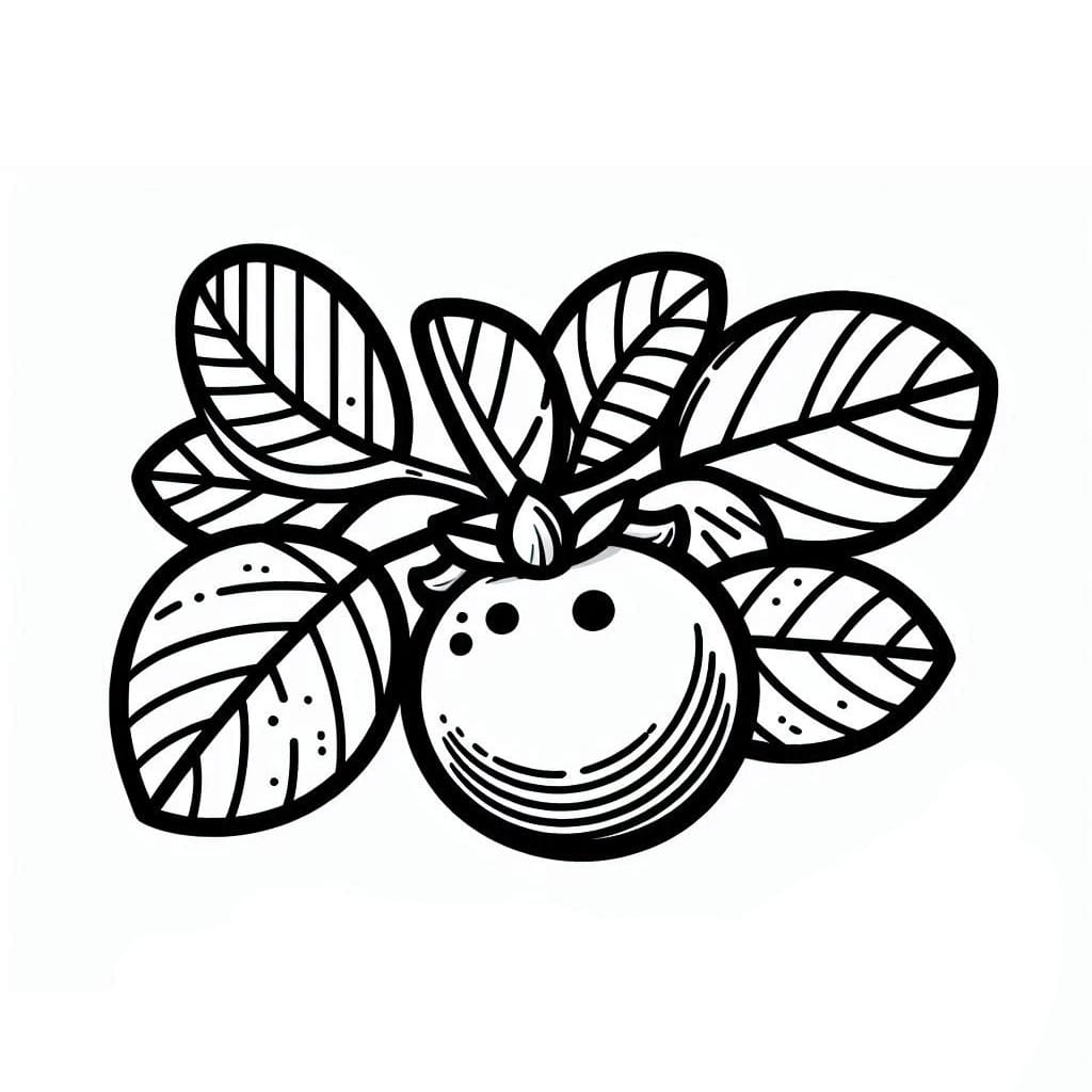 Lækker blåbær Tegninger til Farvelægning