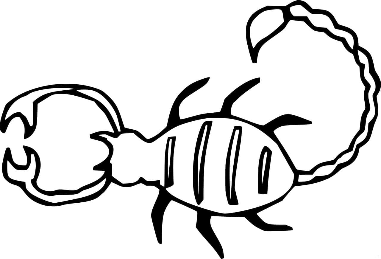 Langhaleskorpion Tegninger til Farvelægning