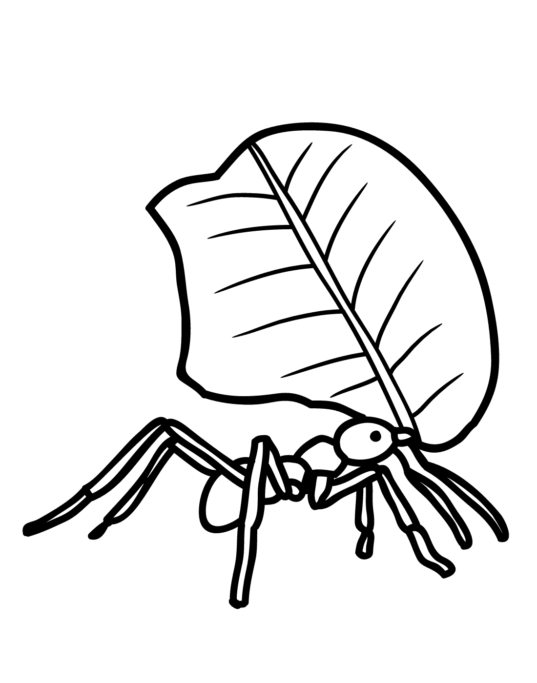 Løvskærermyre Tegninger til Farvelægning