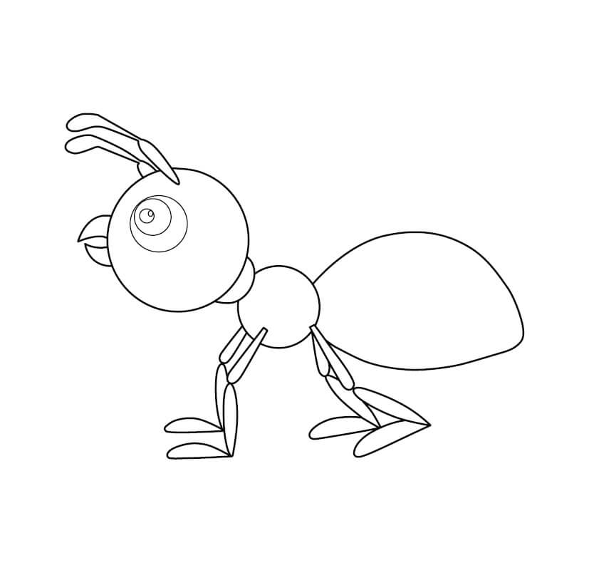 Myrefrit design Tegninger til Farvelægning