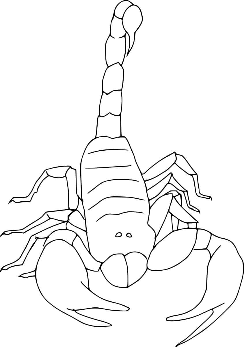 Nem og simpel skorpion Tegninger til Farvelægning