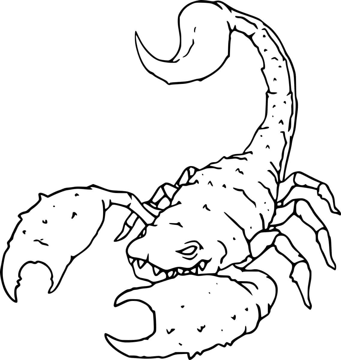 Nem realistisk skorpion Tegninger til Farvelægning