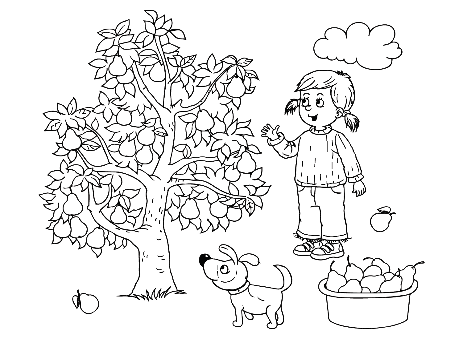 Pæretræ Tegninger til Farvelægning