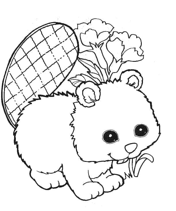 Printbar bæver Tegninger til Farvelægning