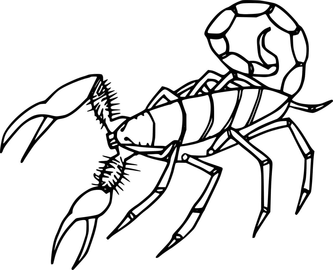 Simpel realistisk skorpion Tegninger til Farvelægning