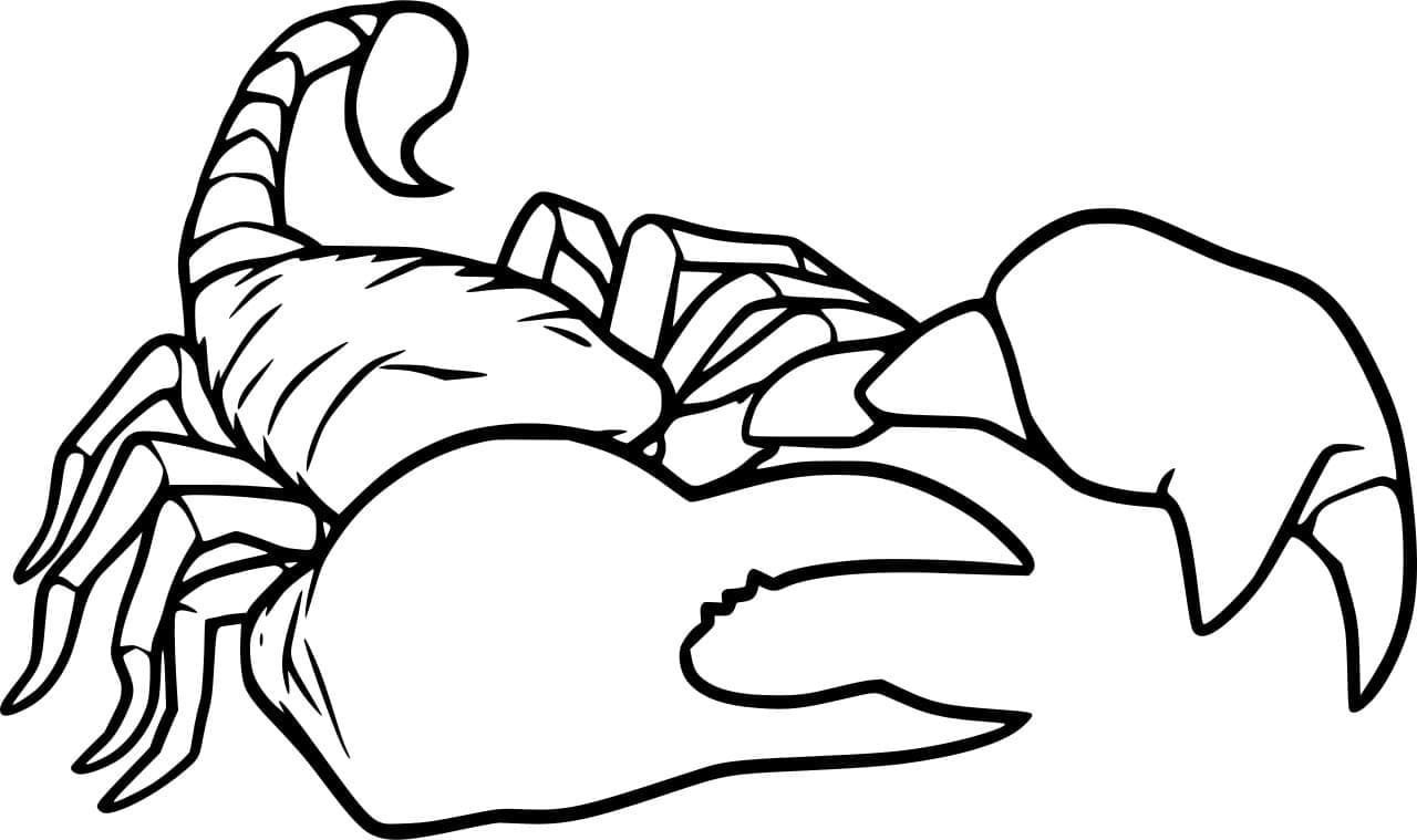 Skorpion har en stor tang Tegninger til Farvelægning