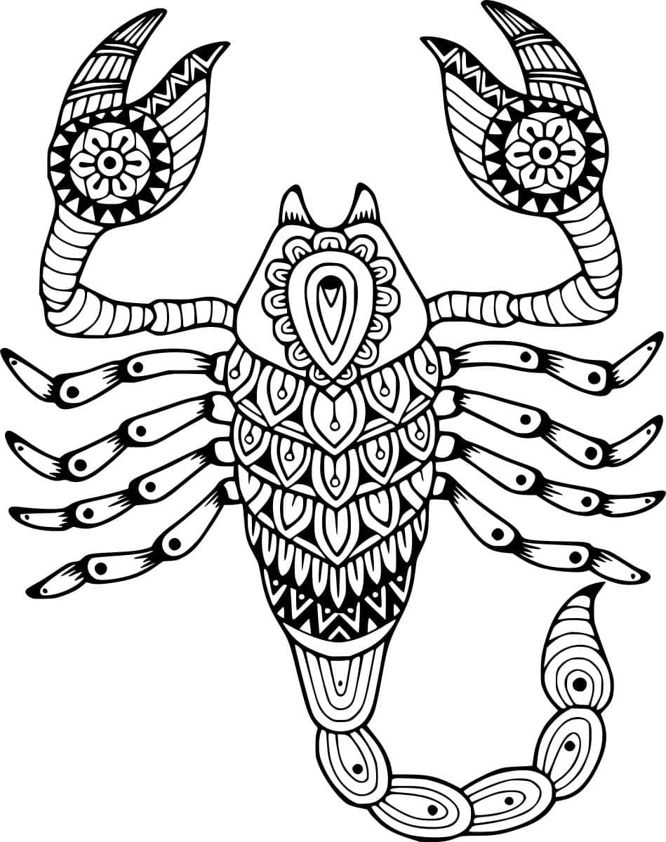 Skorpion Zentangle Tegninger til Farvelægning