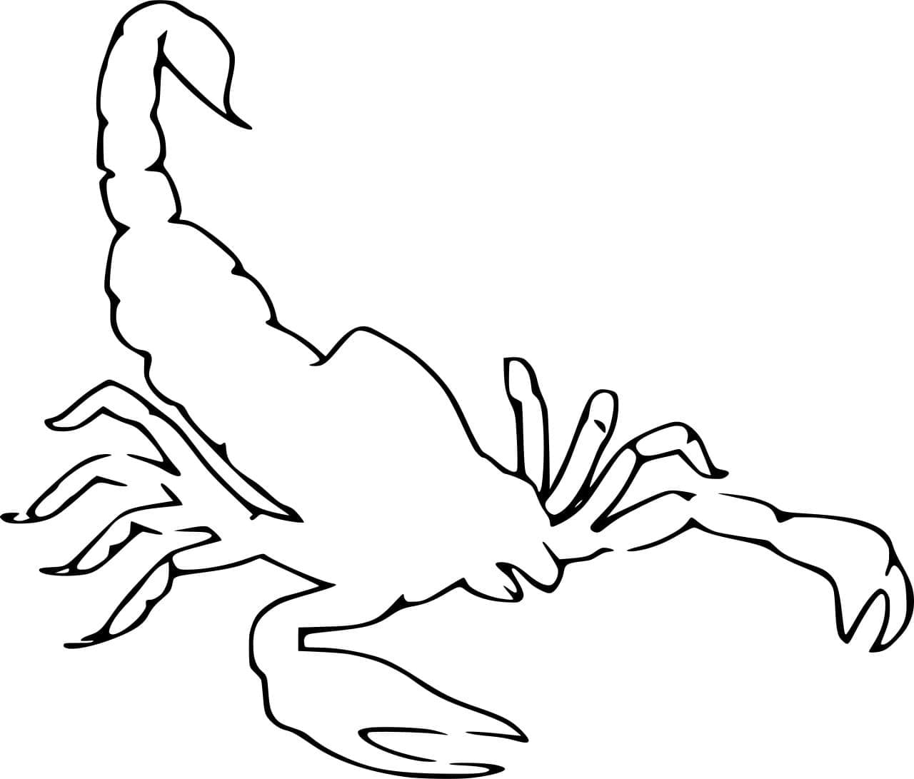 Skorpionens omrids Tegninger til Farvelægning