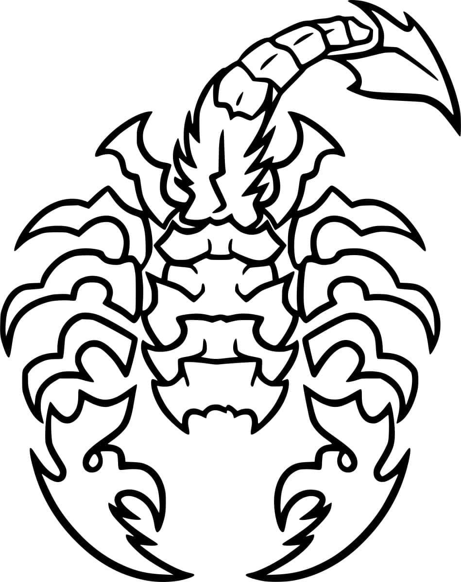 Skorpionkunst Tegninger til Farvelægning