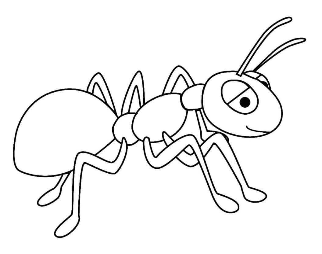 Smilmyre Tegninger til Farvelægning