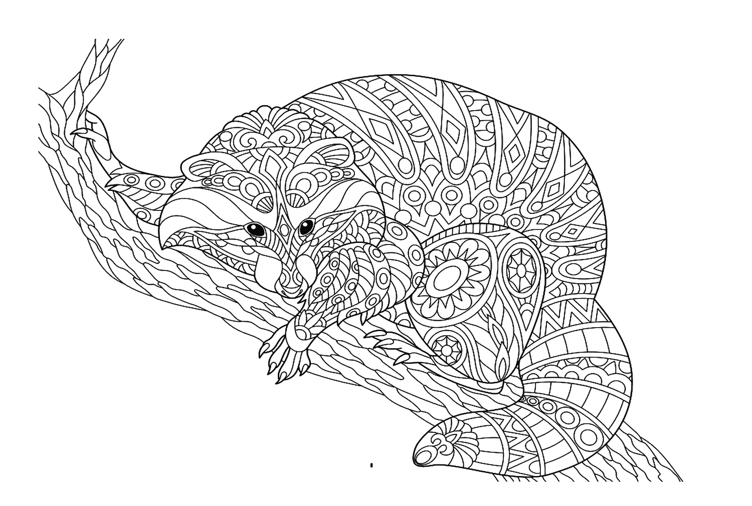 Stiliseret vaskebjørn Tegninger til Farvelægning