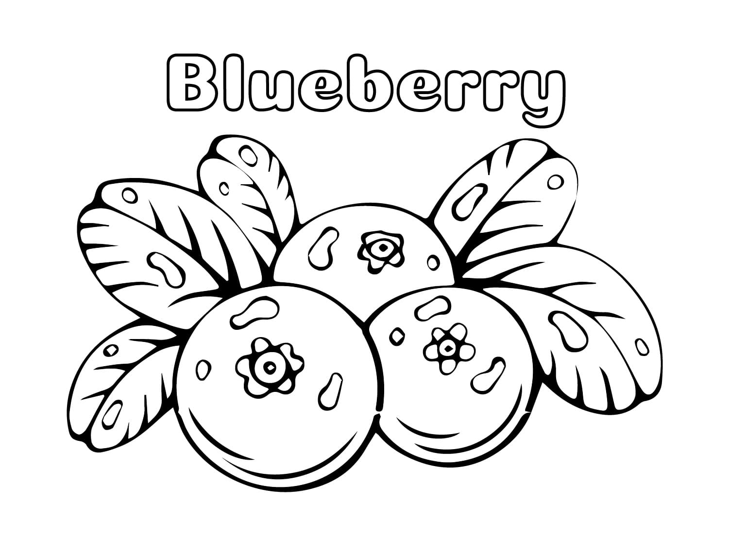Tegning af blåbær Tegninger til Farvelægning