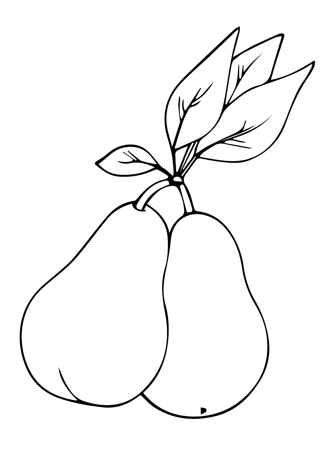 To pærer Tegninger til Farvelægning