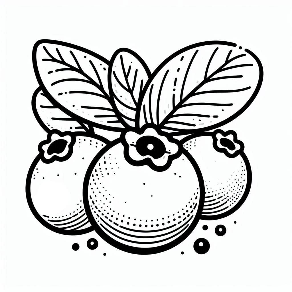 Blåbær Tegninger til Farvelægning