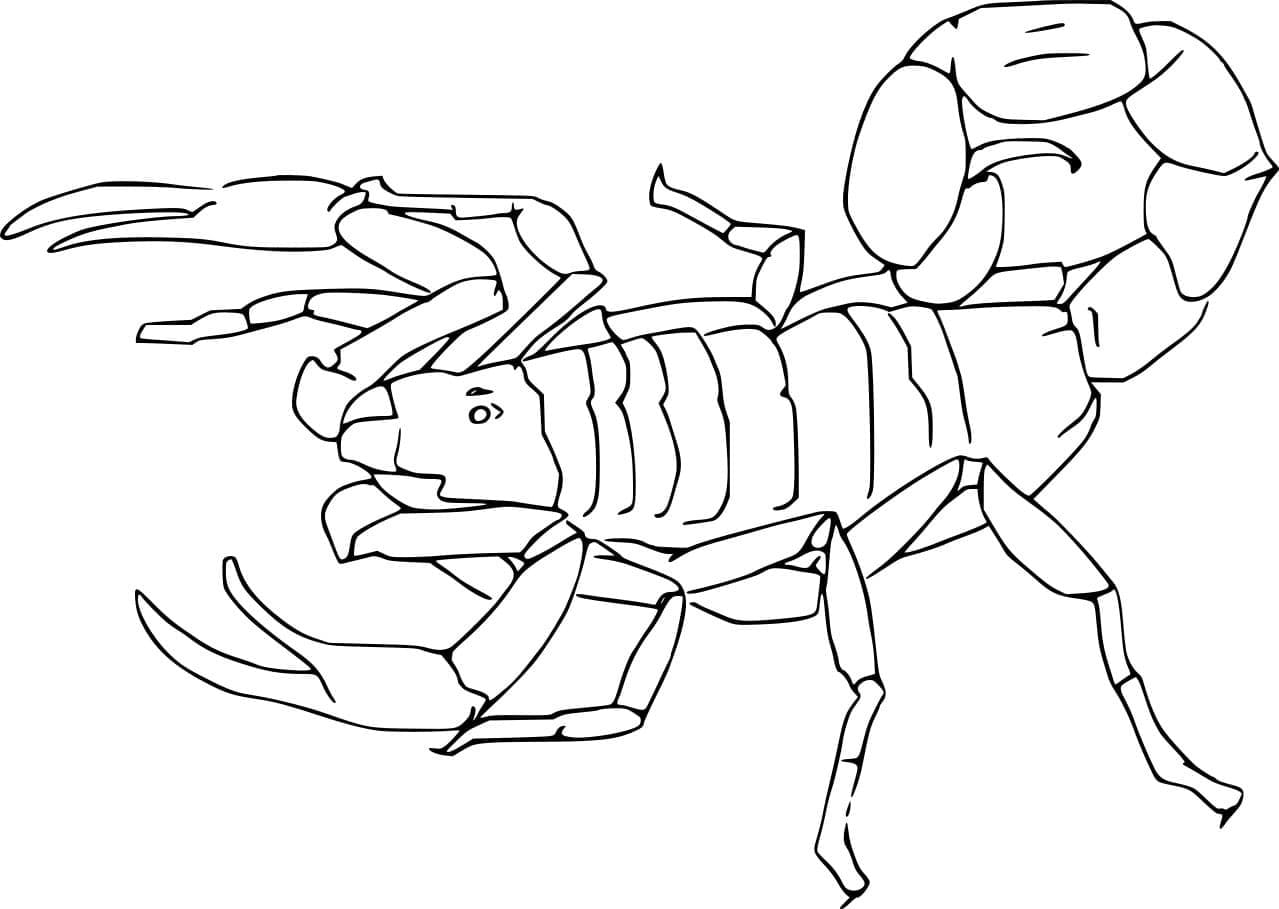 Trestribet skorpion Tegninger til Farvelægning