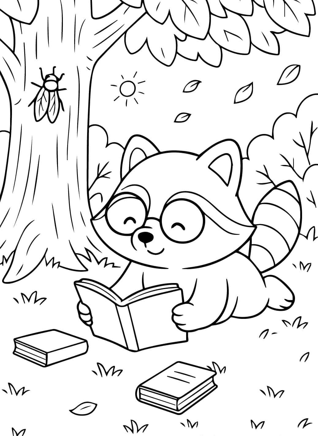 Vaskebjørn Tegninger til Farvelægning