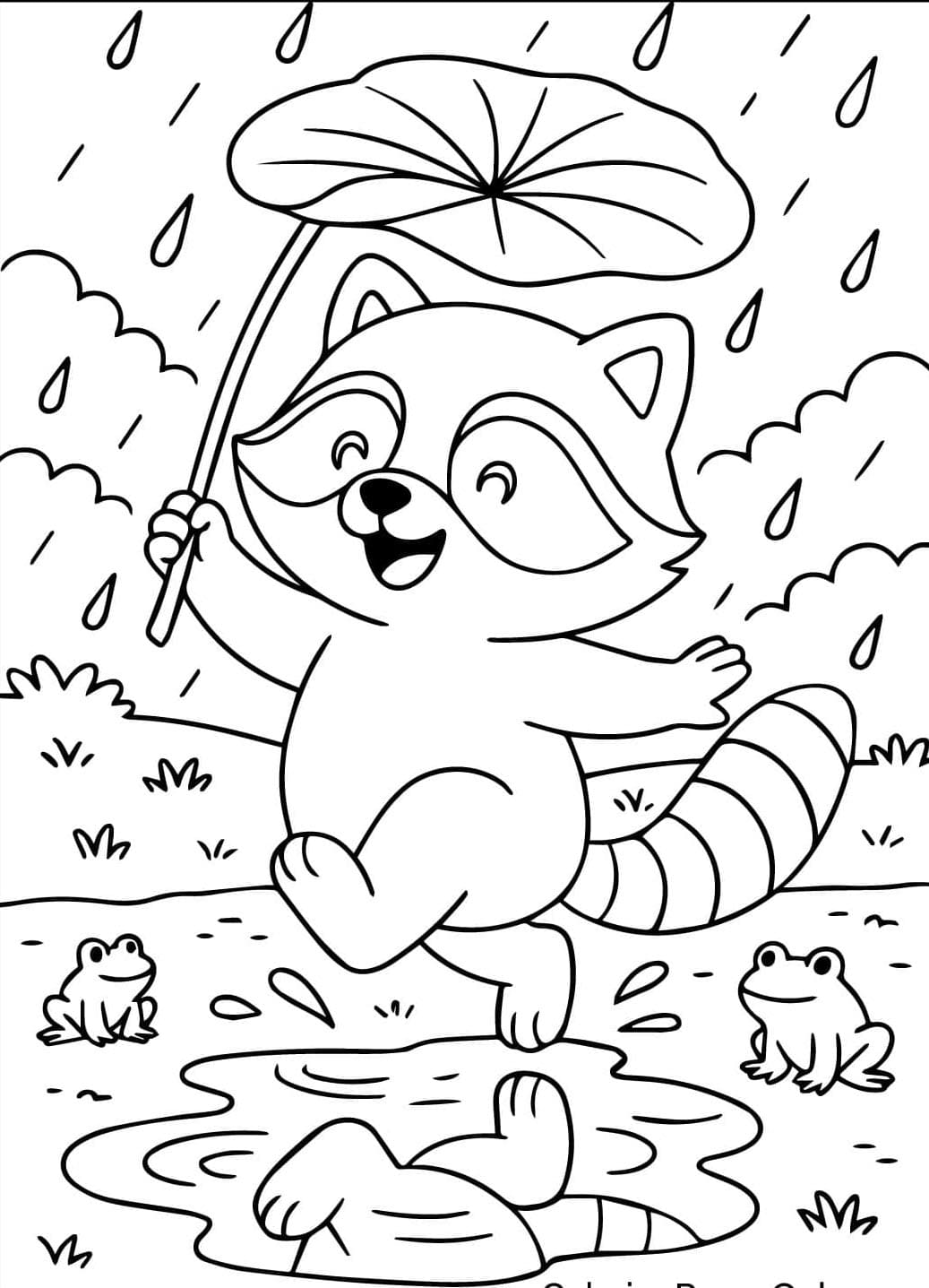Vaskebjørn leger i regnen Tegninger til Farvelægning