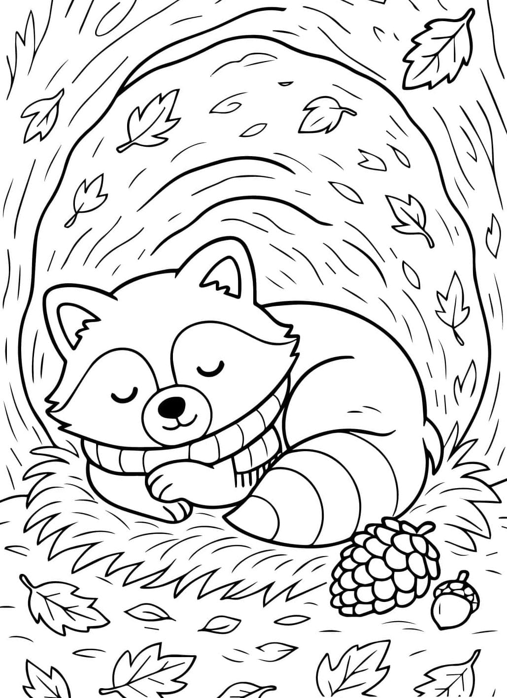 Vaskebjørn sover Tegninger til Farvelægning