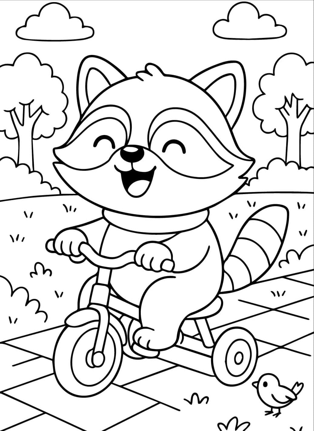 Vaskebjørnecykling Tegninger til Farvelægning