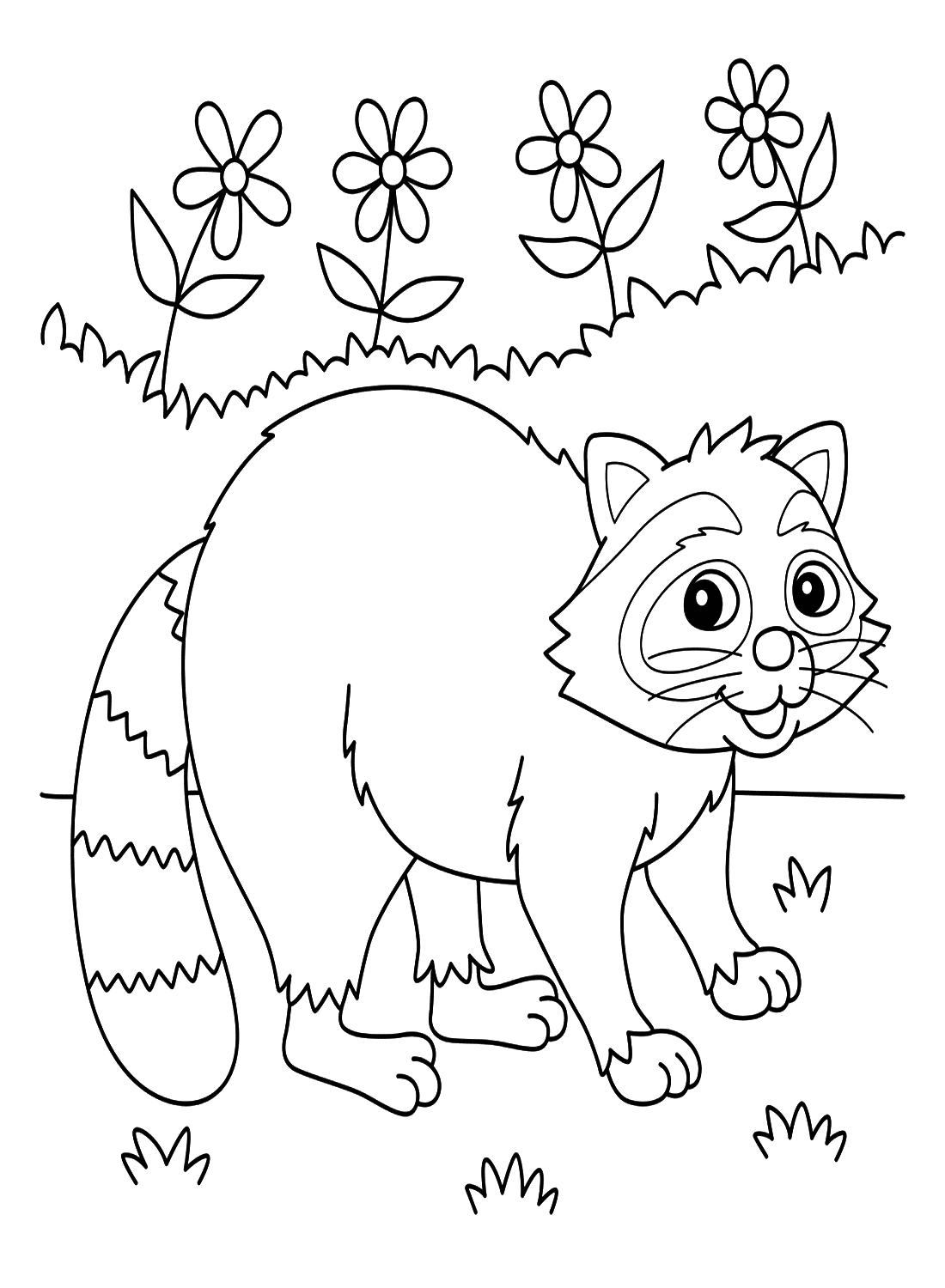 Vaskebjørnedyr Tegninger til Farvelægning